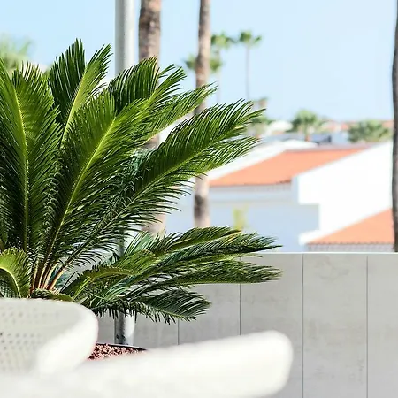 Happy Tenerife - Glamour - Island Village Costa Adeje (Tenerife)